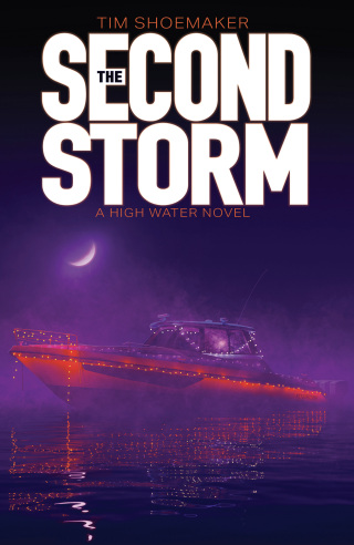 Cover image: The Second Storm 9781646070978