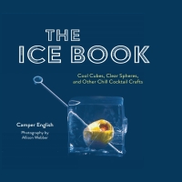 Omslagafbeelding: The Ice Book 9781684352050