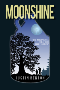 Cover image: Moonshine 9781629798110