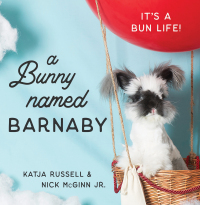 Cover image: A Bunny Named Barnaby 1st edition 9781684422159