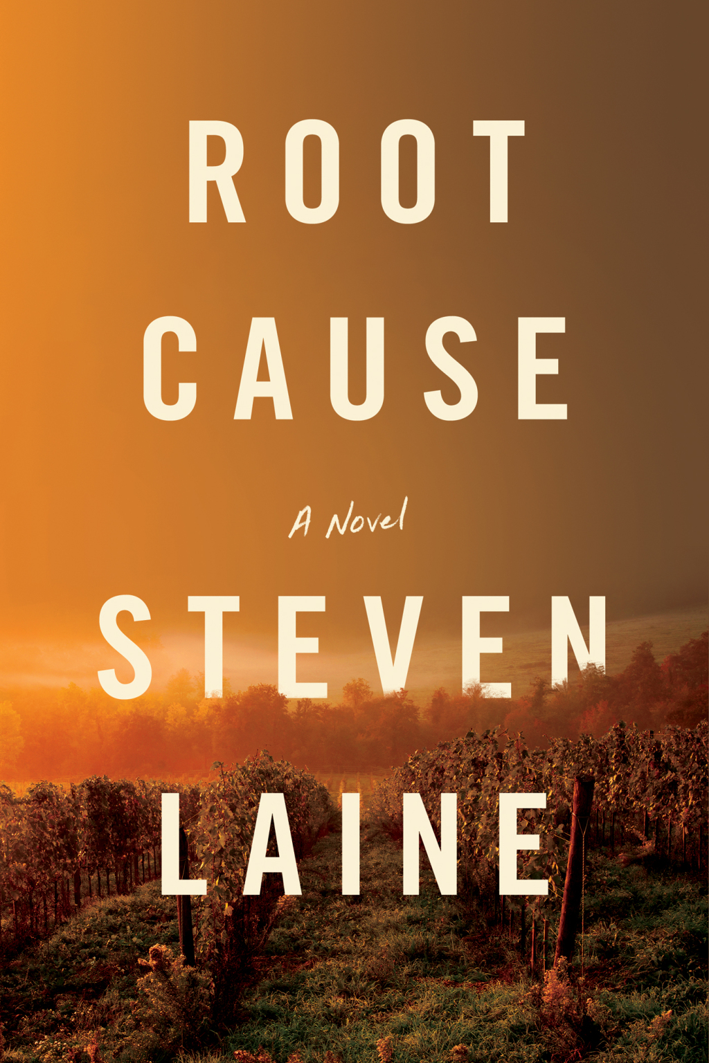 Root Cause (eBook)