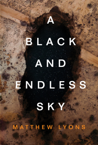 Cover image: A Black and Endless Sky 1st edition 9781684427093