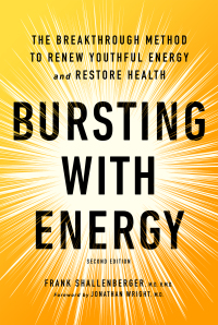 Cover image: Bursting with Energy 2nd edition 9781684428090