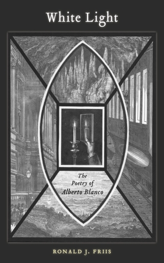 Cover image: White Light 9781684483464