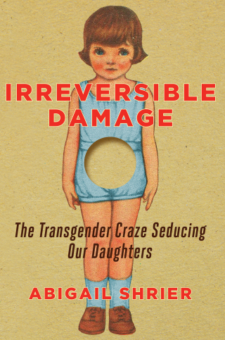 Cover image: Irreversible Damage 9781684510313