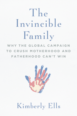 Cover image: The Invincible Family 9781684510559
