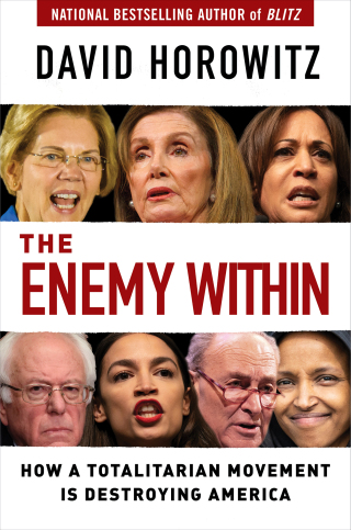 Cover image: The Enemy Within 9781684510542
