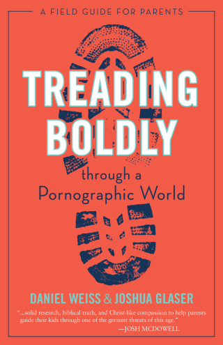 Cover image: Treading Boldly through a Pornographic World 9781684511600