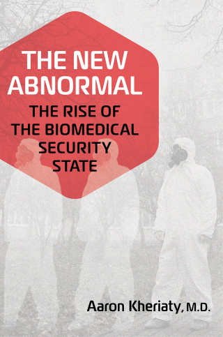 Cover image: The New Abnormal 9781684513857