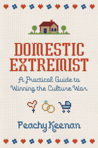Cover image: Domestic Extremist 9781684513529