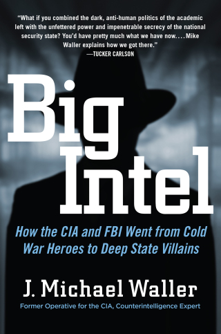 Cover image: Big Intel 9781684513536