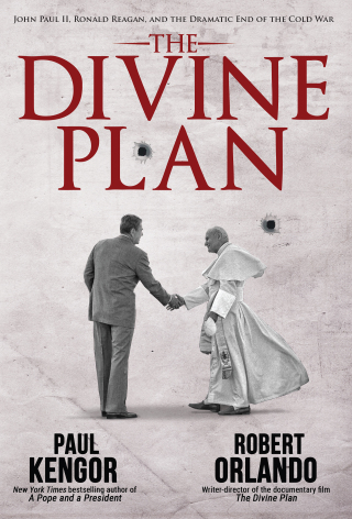 Cover image: The Divine Plan 9781610171540