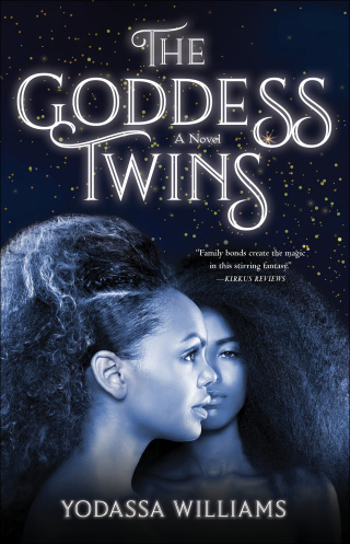 Cover image: The Goddess Twins 9781684630325