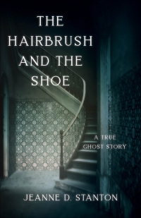 Cover image: The Hairbrush and the Shoe 9781684630349