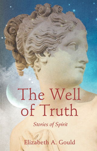 Cover image: The Well of Truth 9781684631391
