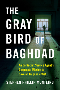 表紙画像: The Gray Bird of Baghdad 9781684631513