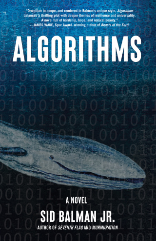 Imagen de portada: Algorithms 9781684632084