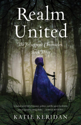 Cover image: Realm United 9781684632725