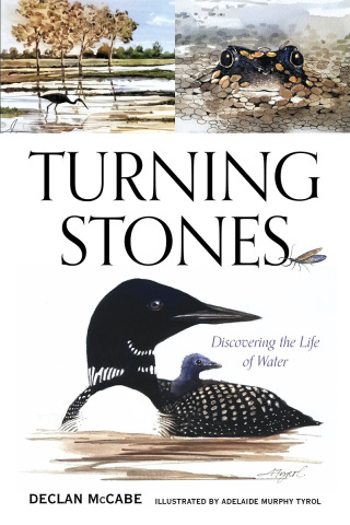 صورة الغلاف: Turning Stones 9781684751839
