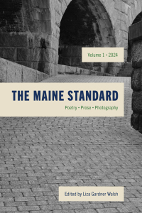 表紙画像: The Maine Standard Vol. 1 9781684751143