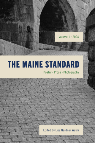 Imagen de portada: The Maine Standard Vol. 1 9781684751143