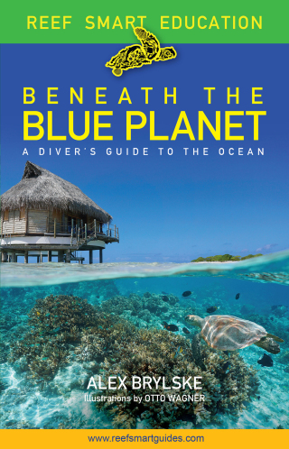 Imagen de portada: Reef Smart Guides Beneath the Blue Planet 9781684812165