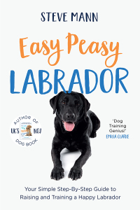 Cover image: Easy Peasy Labrador 1st edition 9781684815029