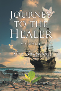 Cover image: Journey to the Healer 9781684980840