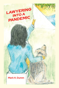 Cover image: Lawyering Into A Pandemic 9781684985449