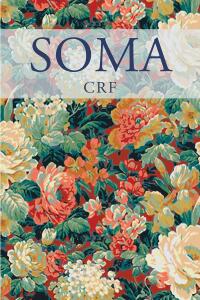 Cover image: Soma 9781684987054