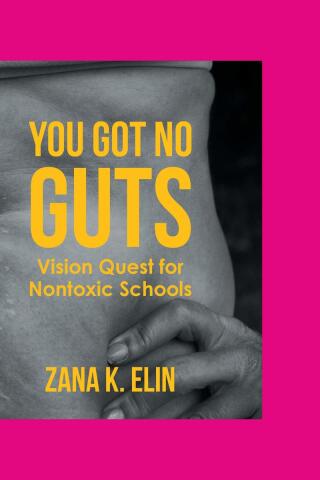 صورة الغلاف: You Got No Guts 9781684989935