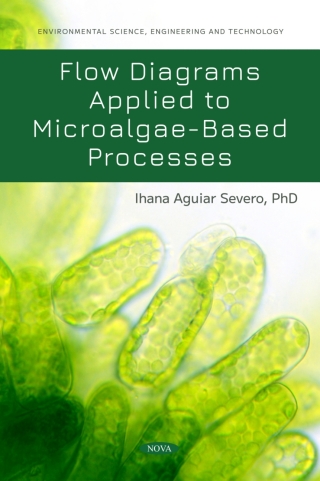 صورة الغلاف: Flow Diagrams Applied to Microalgae-Based Processes 9781685077426