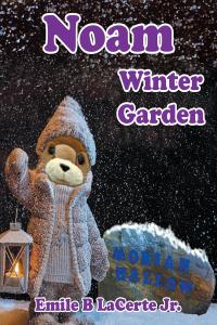 Imagen de portada: Noam Winter Garden 9781638441687