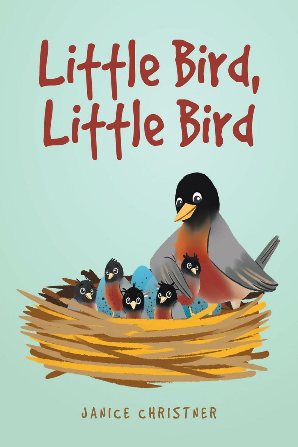 Little Bird  Little Bird eBook