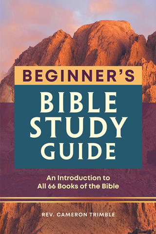 Imagen de portada: Beginner's Bible Study Guide 9781638787136