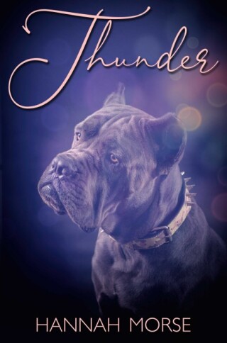 Imagen de portada: Thunder 9781685501242