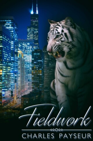Imagen de portada: Fieldwork 9781685503994