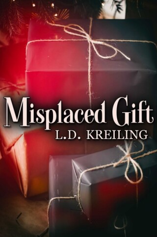 Imagen de portada: Misplaced Gift 9781685507305