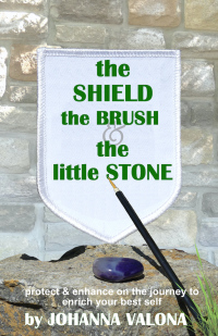Cover image: The Shield, The Brush & The little Stone 9781685830120
