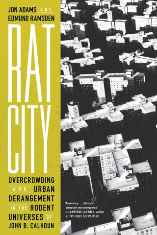 Cover image: Rat City 9781685890995