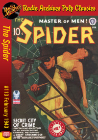 Imagen de portada: The Spider eBook #113