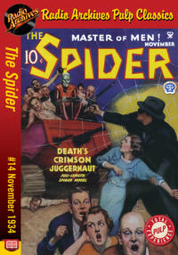 Omslagafbeelding: The Spider eBook #14