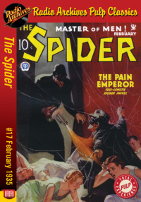 Cover image: The Spider eBook #17