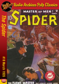 Cover image: The Spider eBook #18