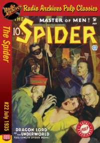 Cover image: The Spider eBook #22