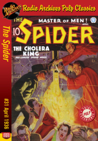 Imagen de portada: The Spider eBook #31