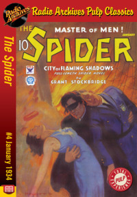 Cover image: The Spider eBook #4