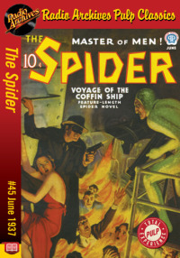 Cover image: The Spider eBook #45