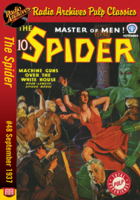 Cover image: The Spider eBook #48