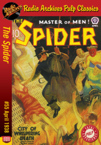 Imagen de portada: The Spider eBook #55